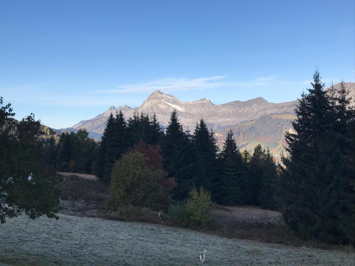 نوتر دام دو بيلكومبيه La Ferme Des Georgieres "Sejour En Tout Compris" المظهر الخارجي الصورة